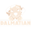 Puppy Cute Dalmatian Dog