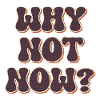 Why not Now ?