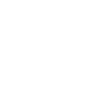 Dessin d'ours Grizzly Alaska Sketch