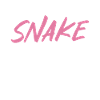 Snake Gift Snake Lover