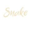 Snake Gift Snake Lover