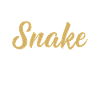Snake Gift Snake Lover