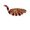 Snake Gift Snake Lover