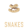 Snake Gift Snake Lover