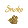 Snake Gift Snake Lover