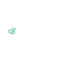 Snake Gift Snake Lover