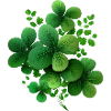 Clover compositions
