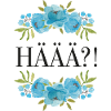 Häää ?!