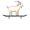 WANT TO SKATEBOARD