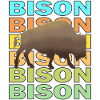 BISON