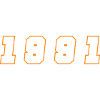 1991 Year Number