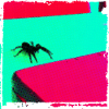 Spider on Green