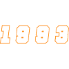1993 Jahr Zahl
