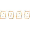 2029 Year Number