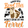 Ferret lover Ferret Gift