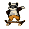 Panda Skater Skateboard Skating