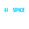 Hospice Sister