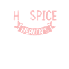 Hospice Sister