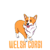 Welsh Corgi