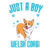 Welsh Corgi