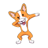 Welsh Corgi