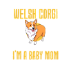 Welsh Corgi