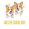 Welsh Corgi