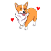 Welsh Corgi
