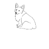 Welsh Corgi
