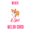 Welsh Corgi