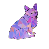 Welsh Corgi