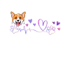 Welsh Corgi