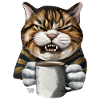 Chat de mauvaise humeur drôle