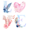 AMOUR