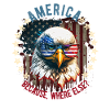 American Patriotic USA Design