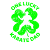 Karate St. Patrick's day shamrock