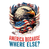 American Patriotic USA Design