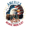 American Patriotic USA Design