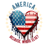 American Patriotic USA Design