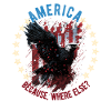 American Patriotic USA Design