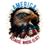 American Patriotic USA Design