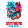 American Patriotic USA Design