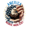 American Patriotic USA Design