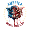 American Patriotic USA Design