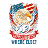 American Patriotic USA Design