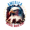 American Patriotic USA Design
