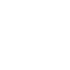 voiture électrique batterie faible