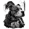 American Staffordshire Terrier