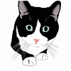 Meow