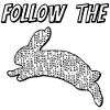 Follow the Rabbit